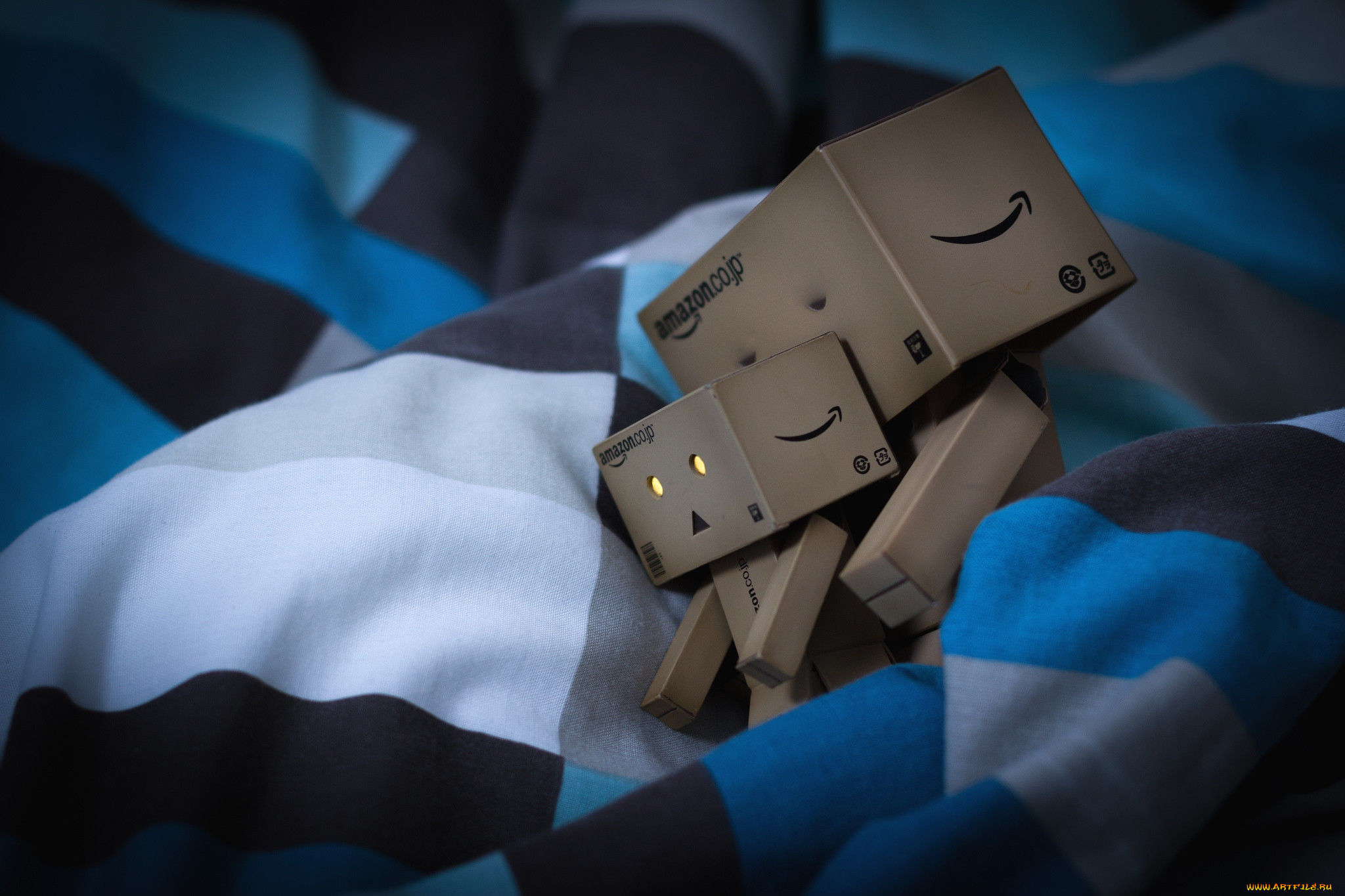 , , danboard, , 